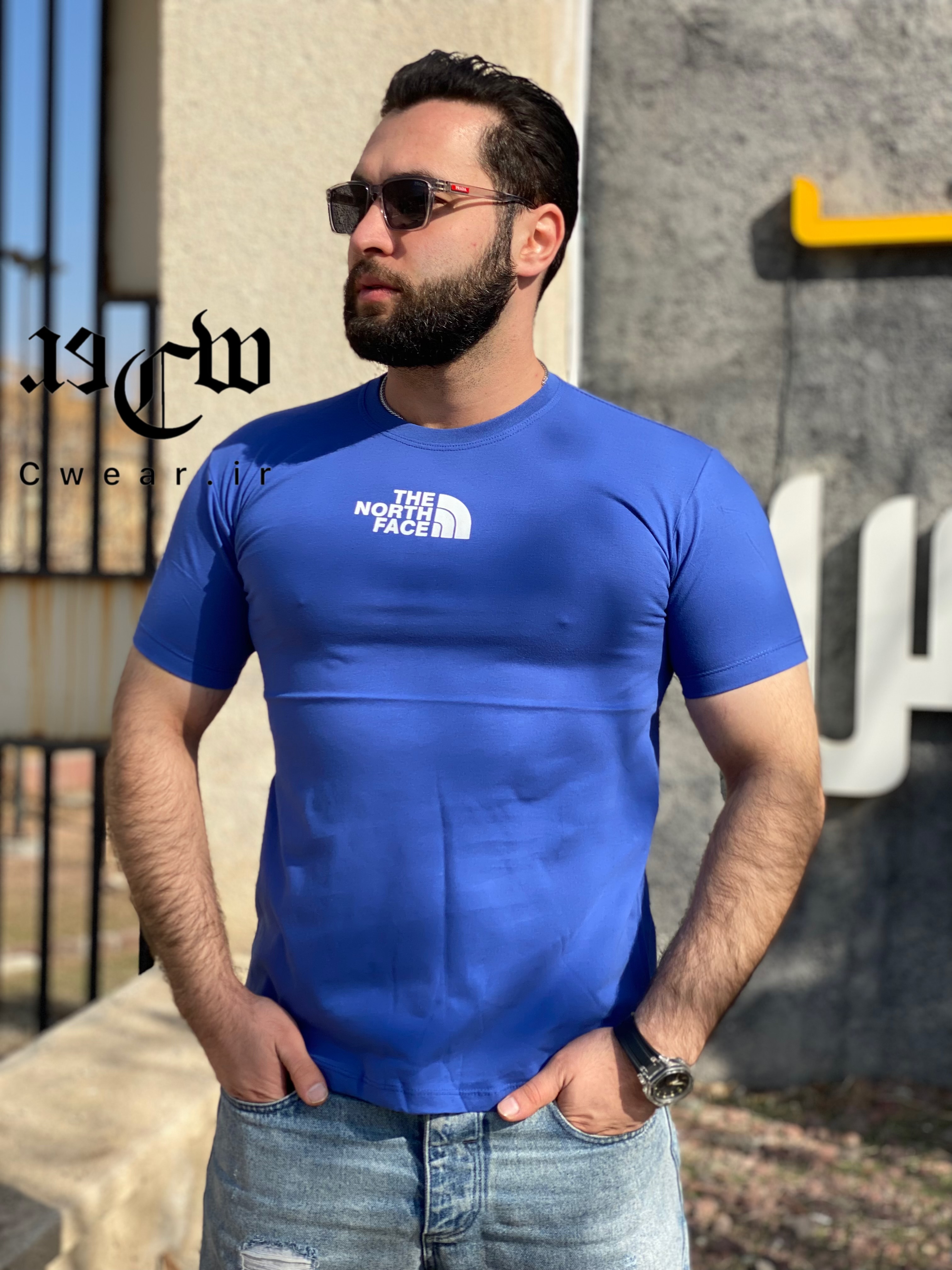 تصویر تیشرت مردانه پنبه the north face tshirt
